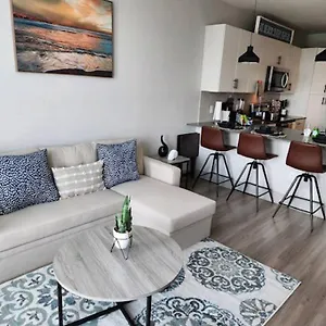  Apartment Luxurious 1 Bedroom Apt In Ybor